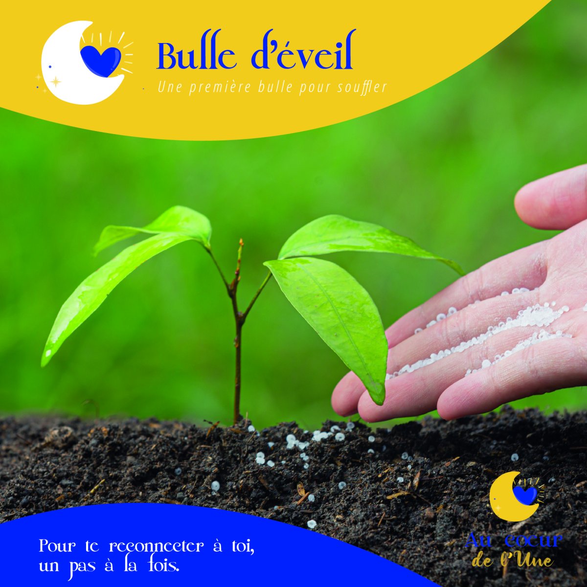 BULLE D’EVEIL