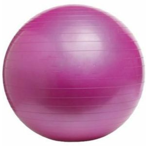 BALLON FITNESS ADULTE 65 CM